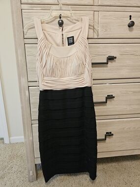 JAX Blush Top with Black Midi Bandage Skirt Dress